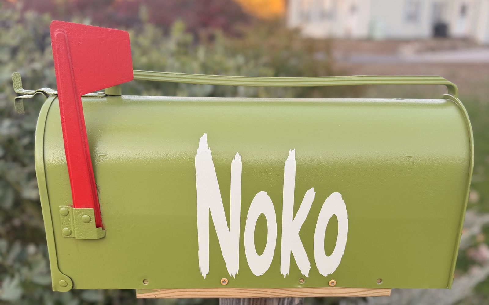 Noko's green mailbox with a red flag and his name painted in white, with fall trees behind it