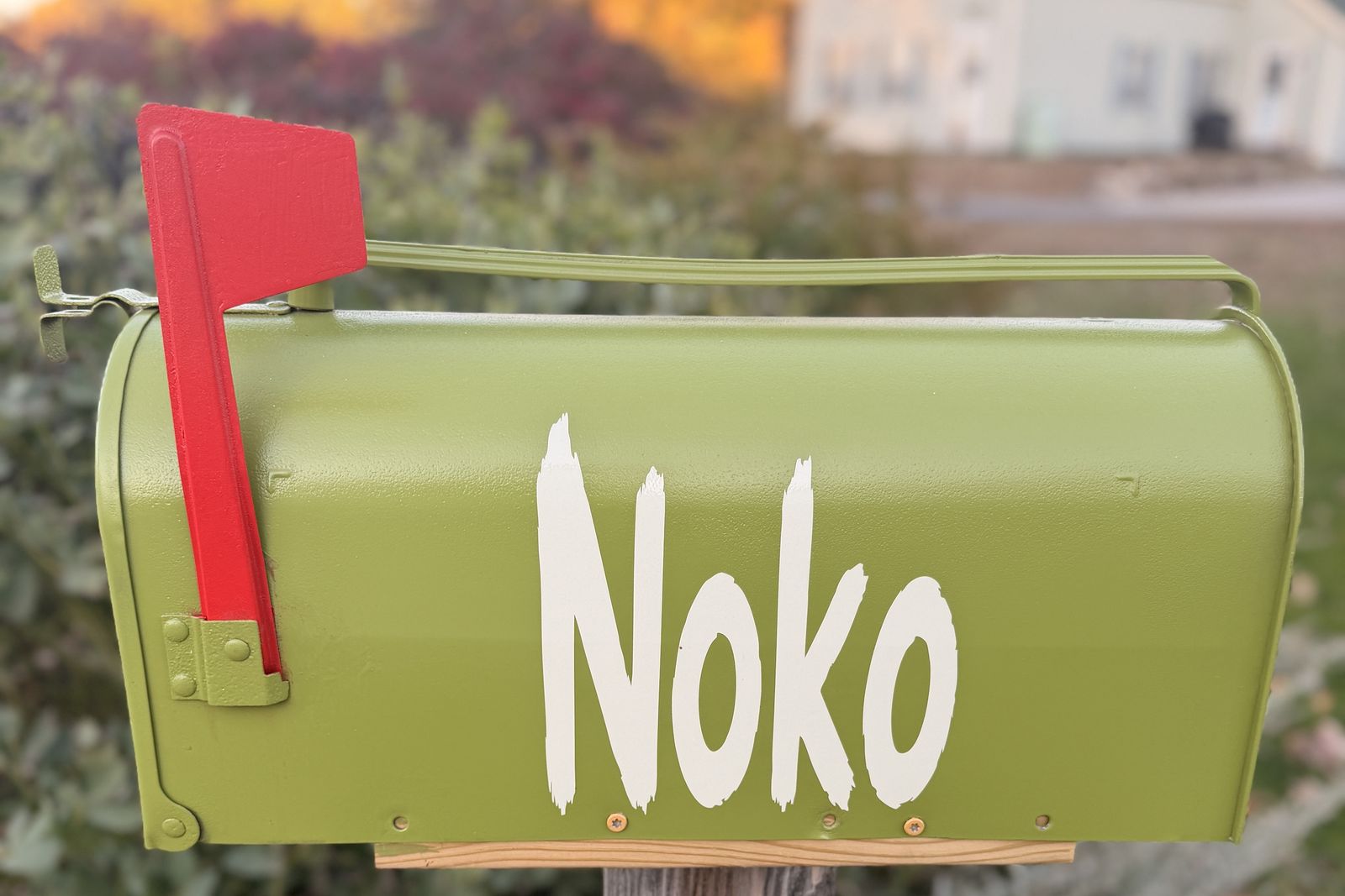 Noko's green mailbox with a red flag and his name painted in white, with fall trees behind it