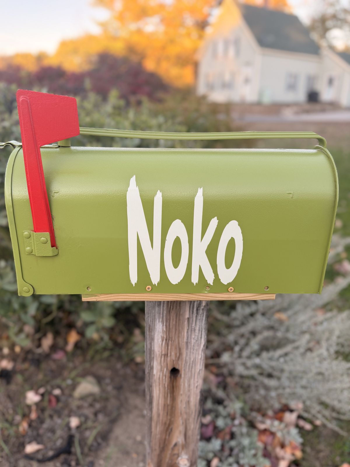 Noko's green mailbox with a red flag and his name painted in white, surrounded by fall color