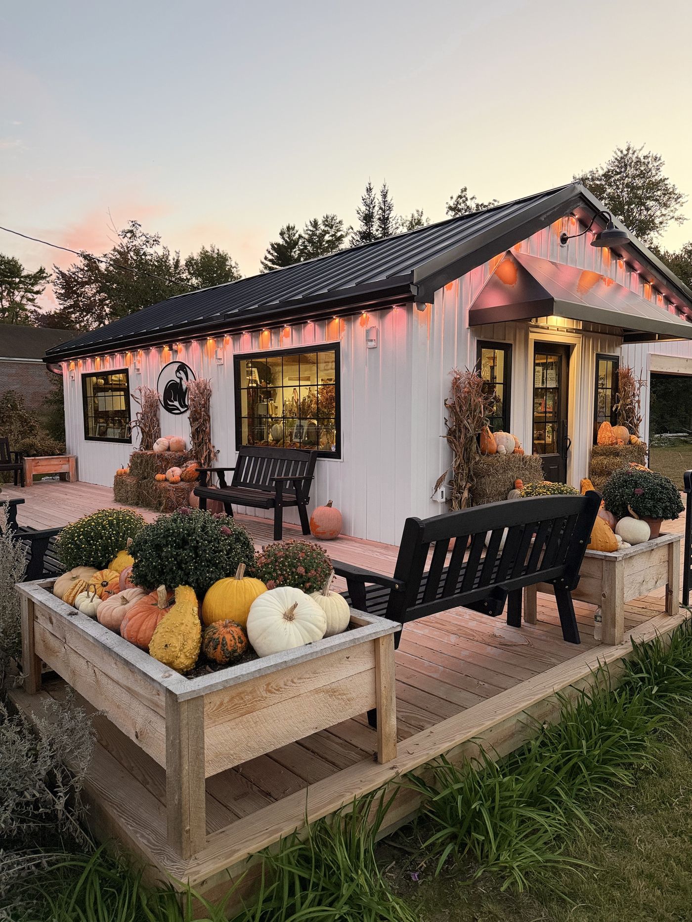 Water's Nook at dusk: the white shop glowing with warm lights, a wooden deck with benches, and planters full of fall pumpkins